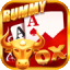 rummy most 51 bonus download apk icon