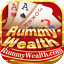rummy pro download
